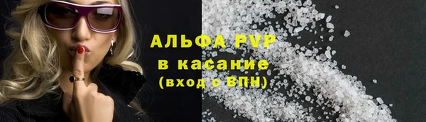 хмурый Аркадак