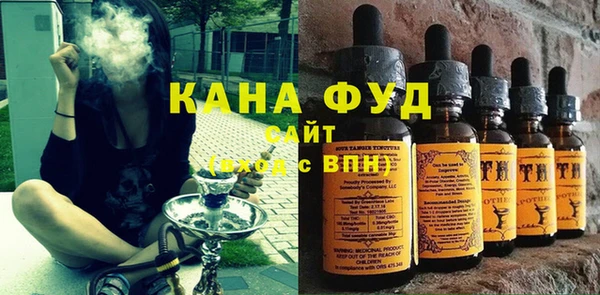 хмурый Аркадак