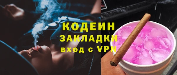 хмурый Аркадак