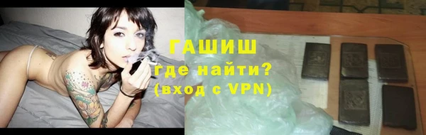 хмурый Аркадак