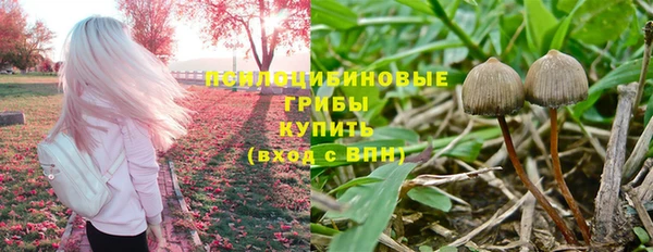 меф Арсеньев