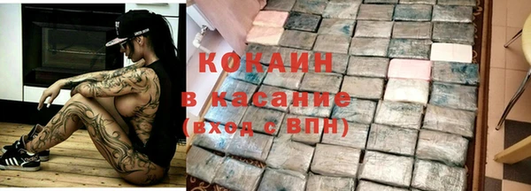 хмурый Аркадак