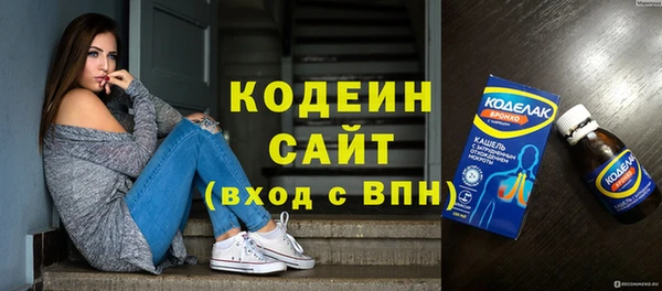 хмурый Аркадак