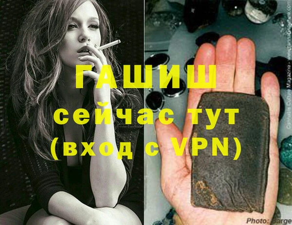 хмурый Аркадак