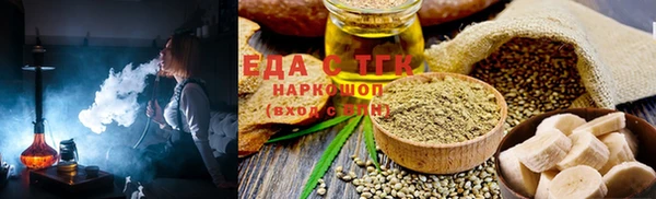 хмурый Аркадак