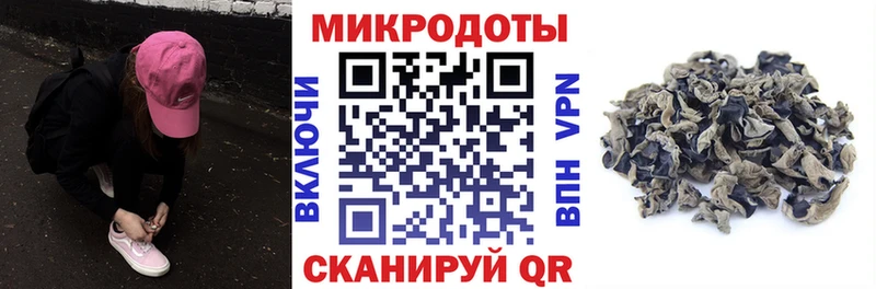 закладка Павлово Галлюциногенные грибы Psilocybe